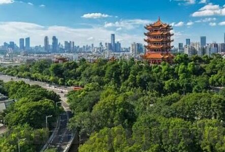 91麻豆传媒-当我们谈论网络世界的多彩斑斓时,不经会留意到那些在不同层面上引起人们关注的元素。今天,我们将聚焦在91麻豆传媒这一现象上,探讨其背后蕴含的故事和流行背后的原因